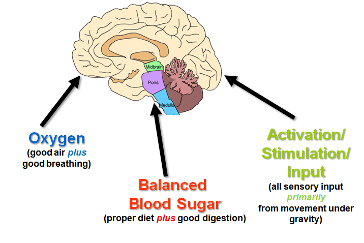 The Three Pillars of Brain Health