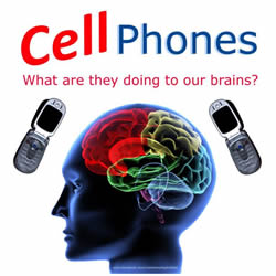 Cell phones and your brain