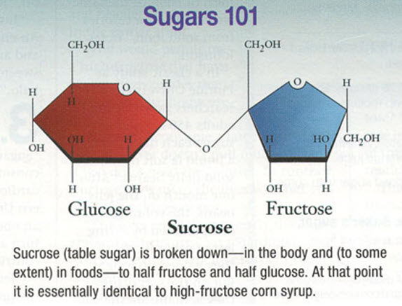 glucose Fructose Sucrose