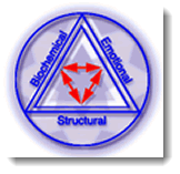 Dr. Z's Triangle of Health - Biochemical-Structural-Emotional